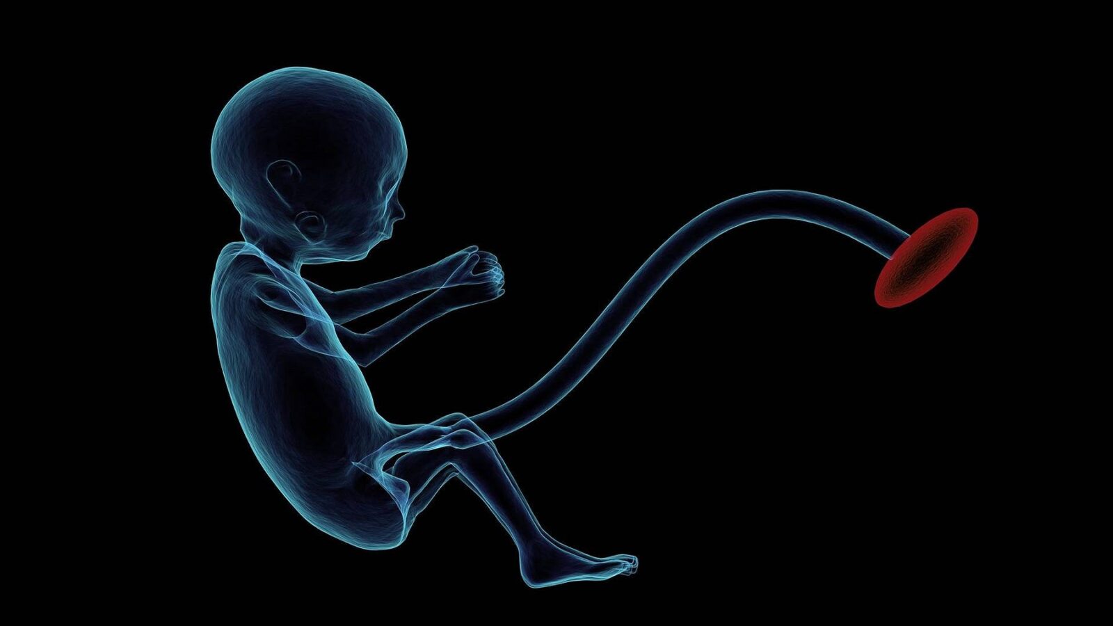 Abordagem em Biossíntese: Afetos da Vida Uterina