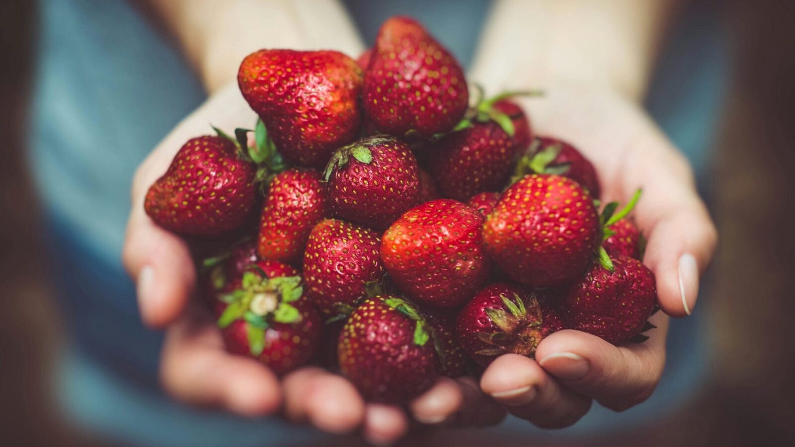 Alimentação Alternativa