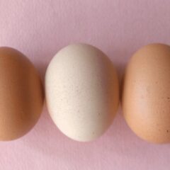 Sobre saúde: o que sabemos sobre fatores de transferência