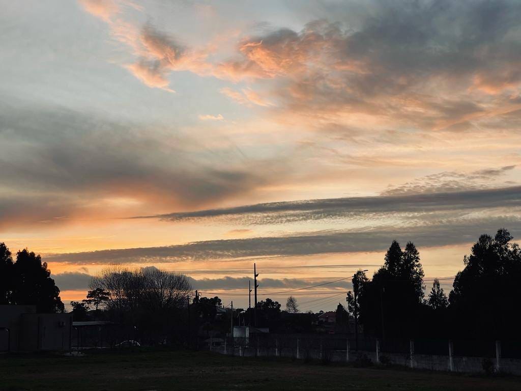 Crianças no banco de trás e o pôr-do-sol em frente