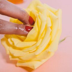Prazer Sexual: Conectar a Intimidade e a Satisfação