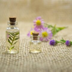 Aromaterapia: Uma Viagem Sensorial e Terapêutica