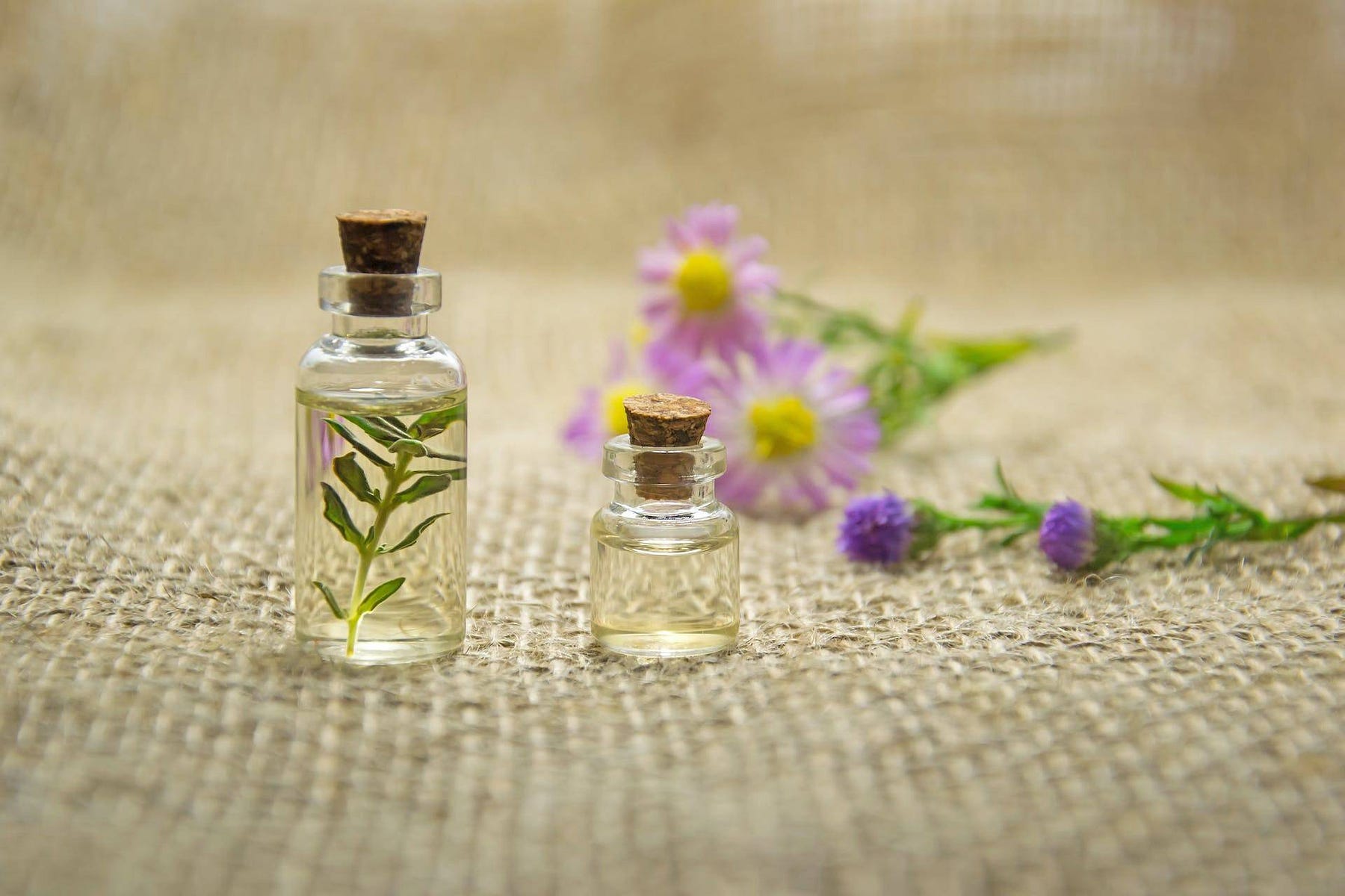 Aromaterapia: Uma Viagem Sensorial e Terapêutica